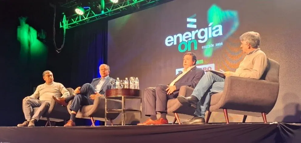 Weretilneck en las 12° Jornadas de EnergíaOn: preparan una medida cautelar para q...