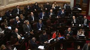 El Senado convirtió en ley la declaración de emergencia en materia de discapacidad