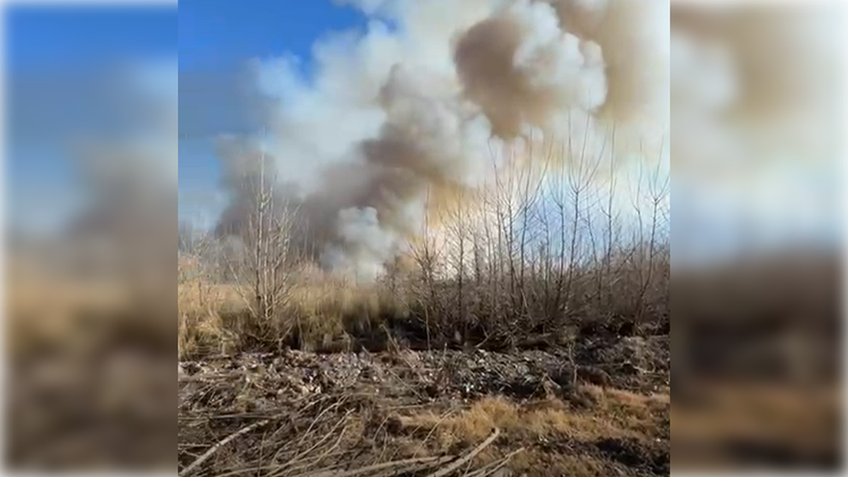 Gran incendio en una chacra casi llega a la ruta
