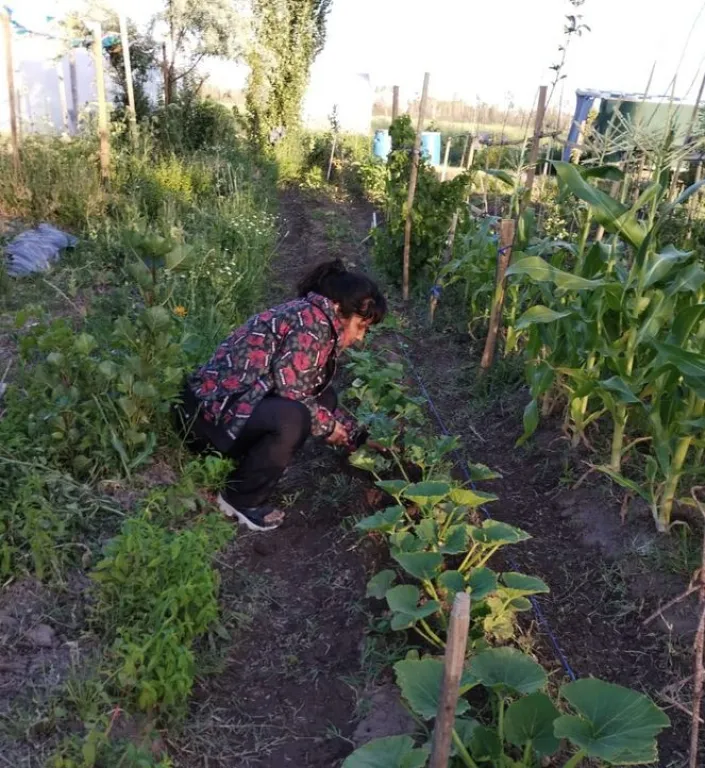 Se vendió la chacra donde funcionaba la Huerta Comunitaria y deberán desalojarla
