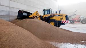 Río Negro impulsa el uso energético de residuos madereros en el Alto Valle