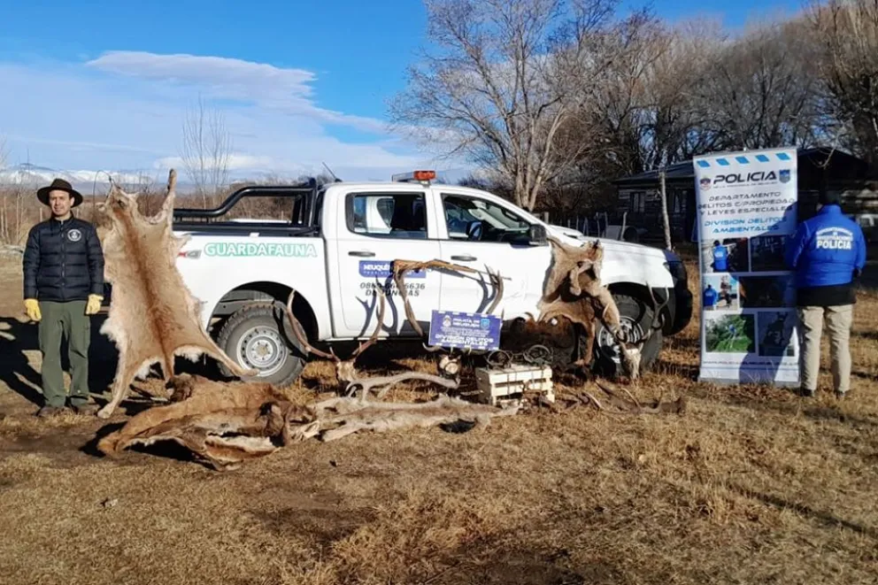 Fauna y Policía desbarataron banda de cazadores furtivos