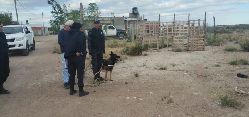 Femicidio en San Antonio Oeste: Policía detuvo a dos hombres tras el hallazgo de ...