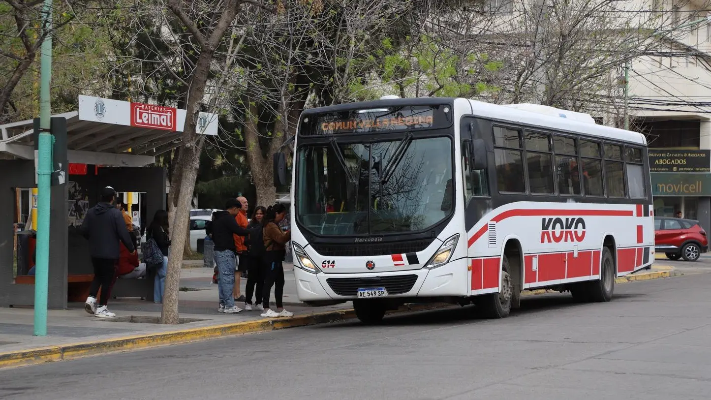 Subsidio provincial: el gobierno asegura que  reduce hasta un 70% el valor del pa...