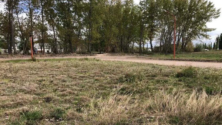 Gran subasta de tierras fiscales en Oro: Qué dimensiones tendrán los lotes