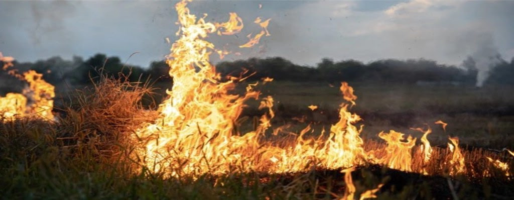 Medidas para Evitar Incendios Forestales y de Interfases Altas Temperaturas en la Región