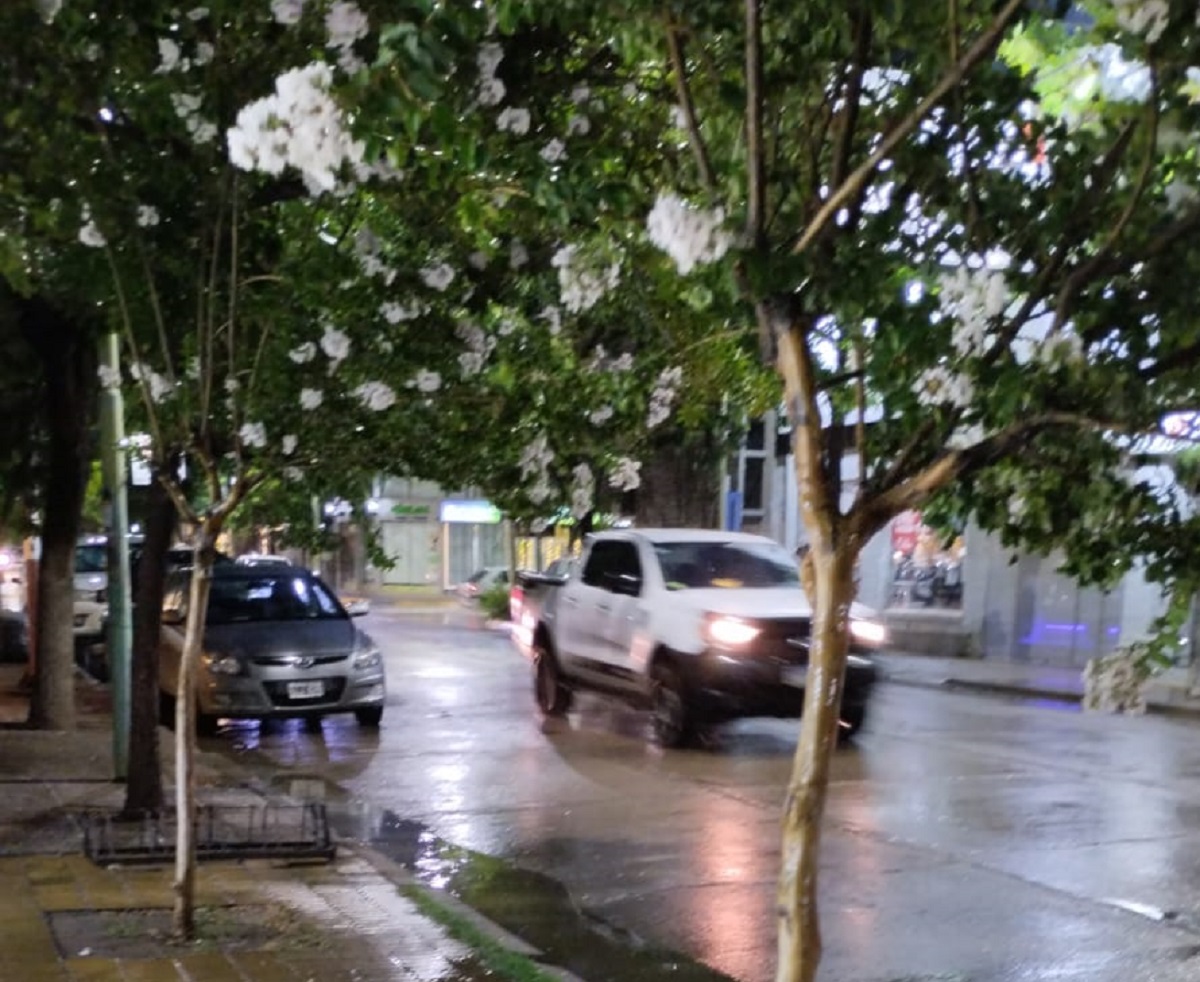 Cortes de luz en el Alto Valle: tormentas afectaron a Fernández Oro, Cipolletti y Roca