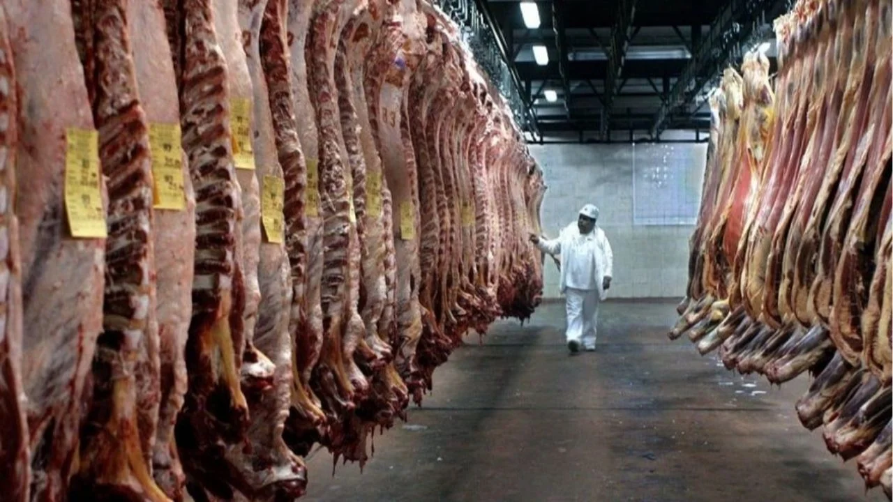 Peligra el ingreso de carne argentina a los Estados Unidos