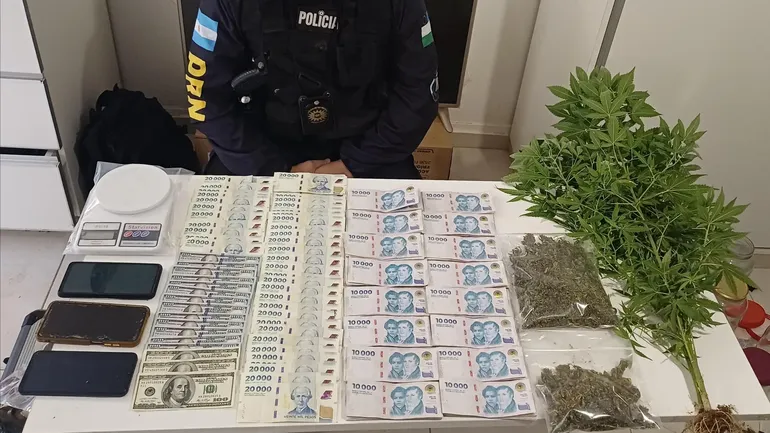 Más de 70 plantas y 2 kioscos narco: así cayó la red en el Alto Valle