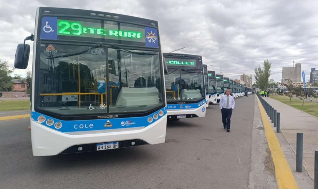 Neuquén suma 36 colectivos 0 km y amplía el servicio nocturno
