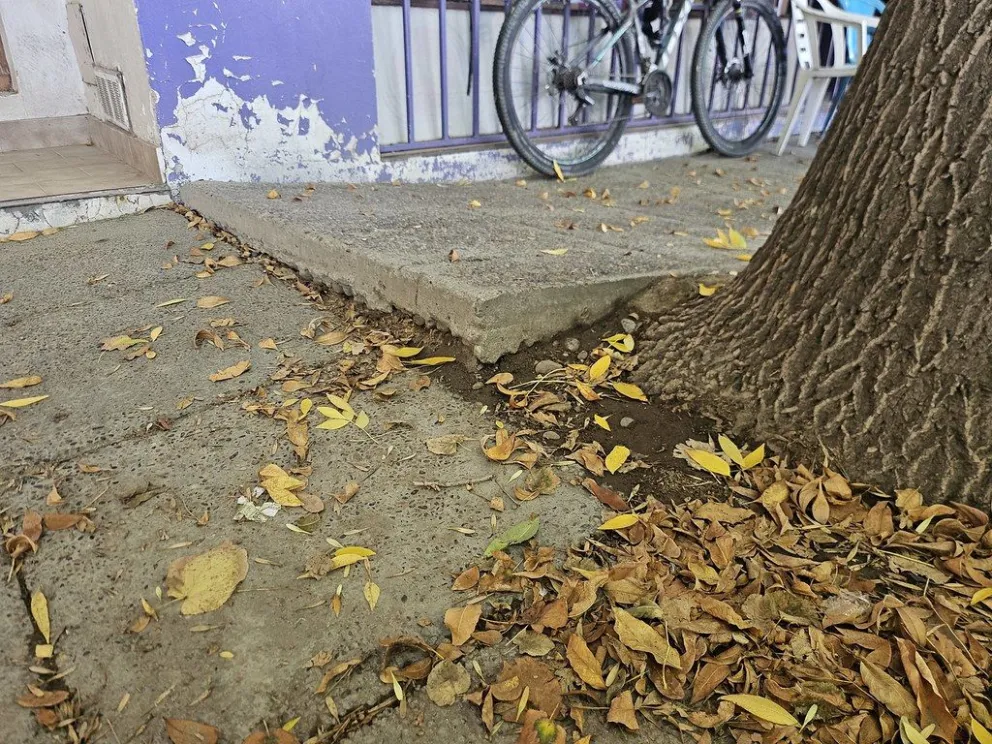 Caminar en Cipolletti: veredas en mal estado y multas de hasta $7 millones