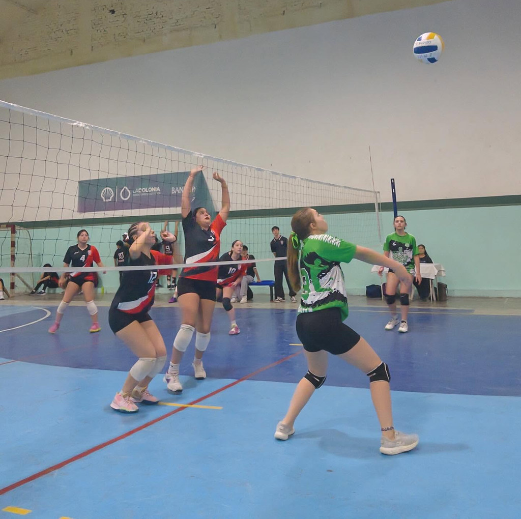 Dos días para entrenar como profesionales: abren las inscripciones para el Campus de Voley 2026