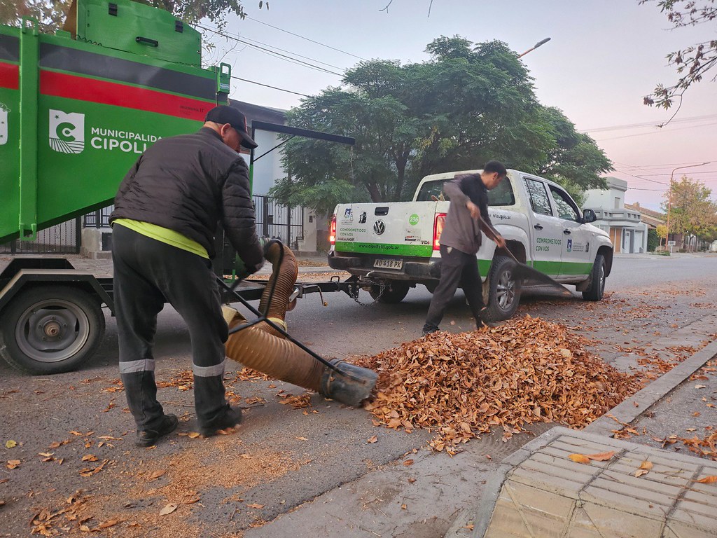 Recolección de hojas en Cipolletti: barrios y cronograma semanal actualizado