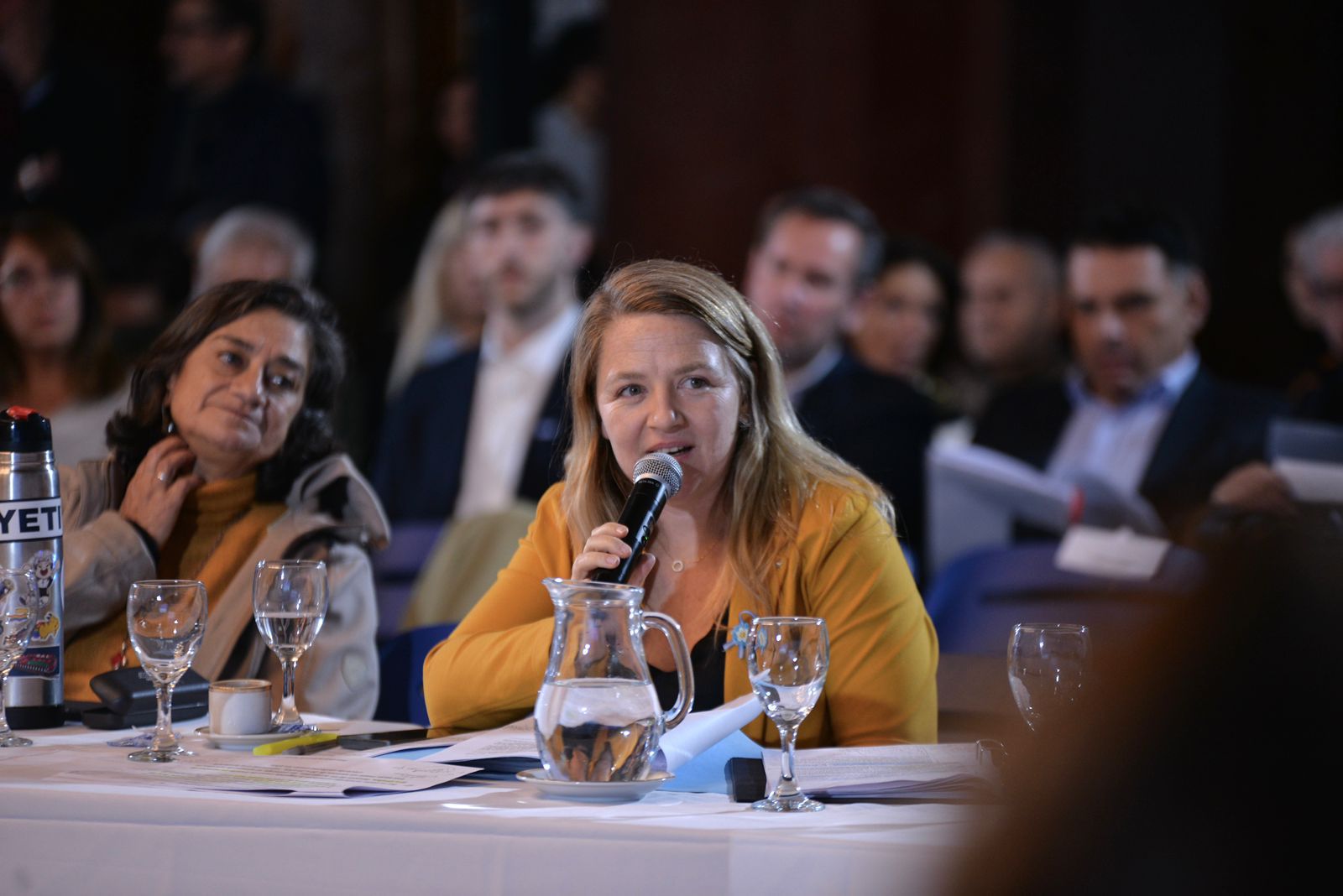 Ana Marks rechazó el proyecto para permitir la venta de tierras a extranjeros