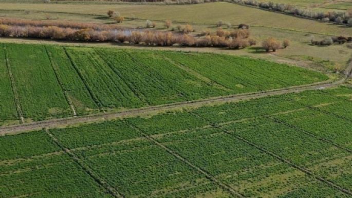 Un niño de 4 años murió tras caer de la caja de una camioneta