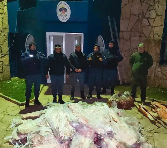 Decomisan más de 700 kilos de carne que ingresaba a la provincia de manera ilegal...
