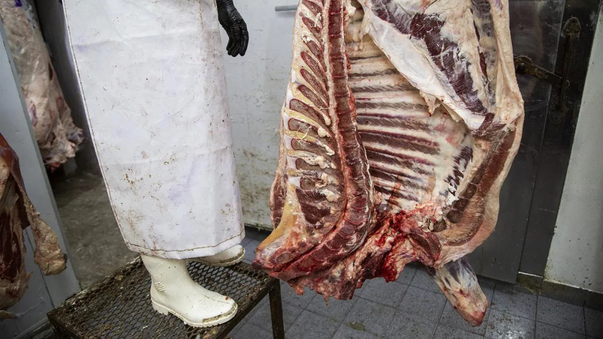 La suba del precio de la hacienda acelera el valor de la carne