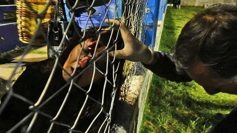 Cobrará millonaria indemnización: Le rompieron la cabeza de un piedrazo en la can...