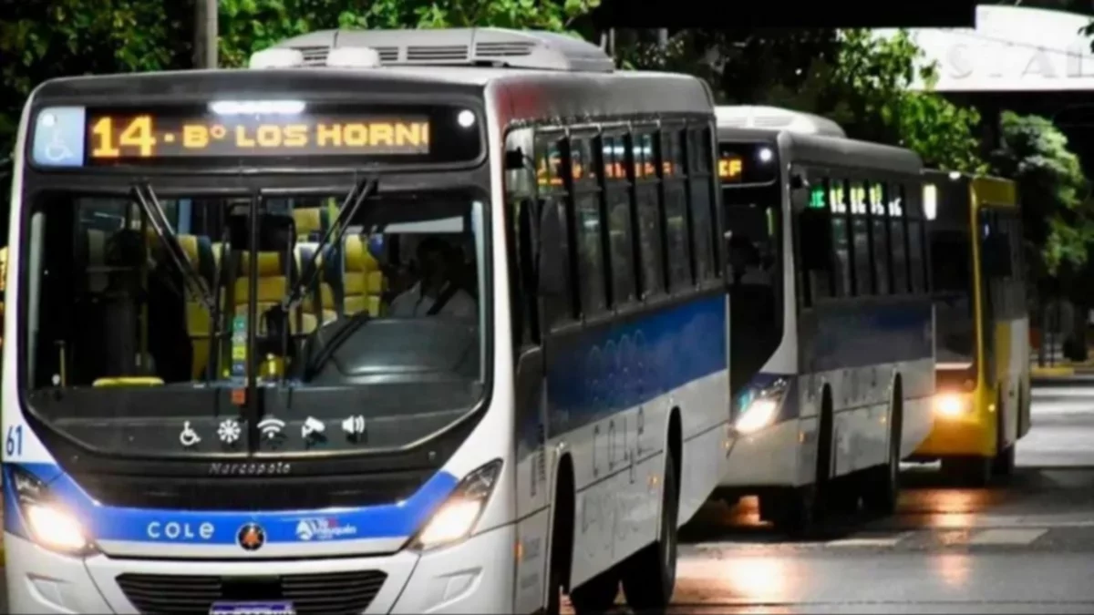 Neuquén: cambios de calles reconfiguran recorridos y paradas del colectivo